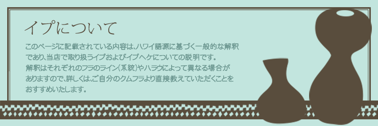 イプとイプヘケについて パウスカートショップ フラダンス衣装の公式通販サイト 本店